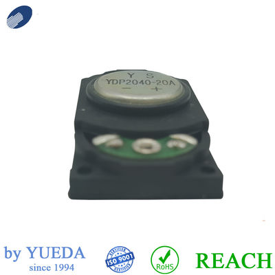 Black Runway Shape Precision Power Subwoofers Smart Speaker 20mmX40mm